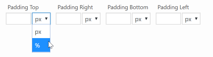 Widget Form Multi Measurement