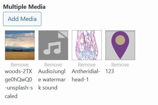 Widget Form Multi Media